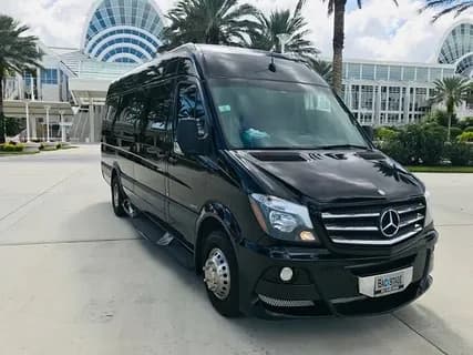 Party Van Night Planning Tips