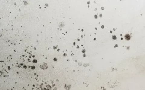 Why clean air ducts keep your Annandale family breathing better