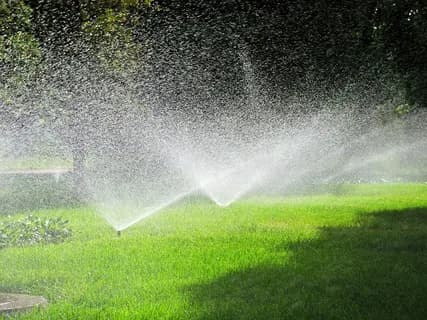 Tips to Spot Irrigation Leaks