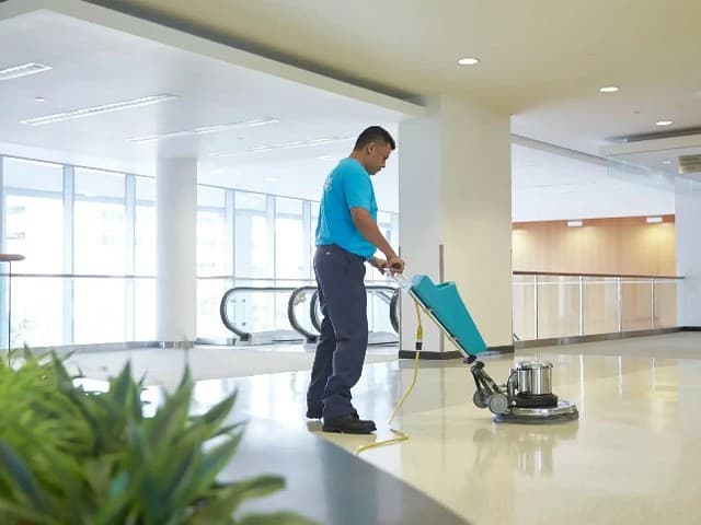 Floor Care Basics