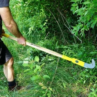 Benefits of Professional Tree & Brush Removal