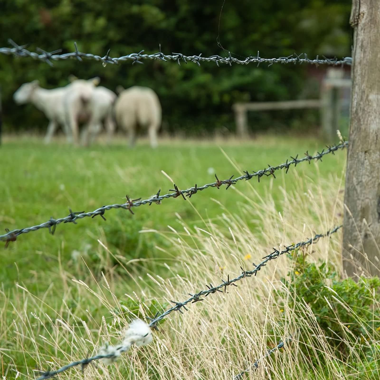 Benefits of Commercial Barbed Wire Fencing