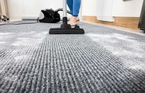 Carpet Care Guide