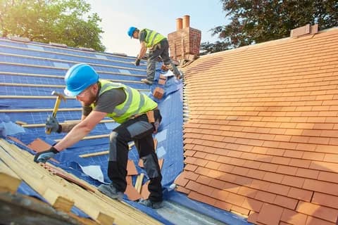 Signs you need roof repair or replacement