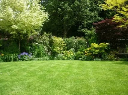 How regular lawn care protects property