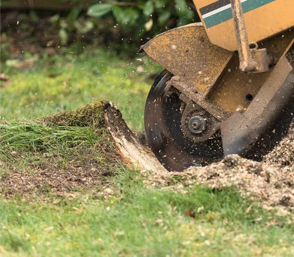 How Stump Grinding Enhances Your Property